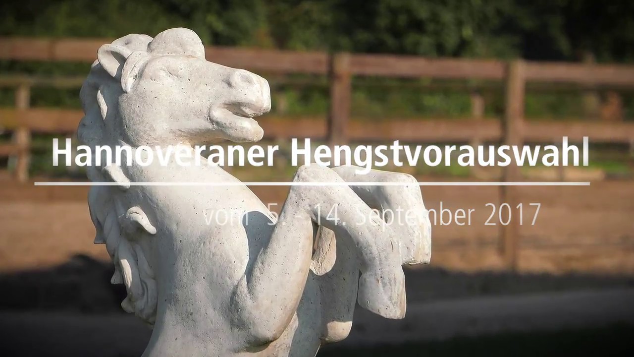 Hannoveraner Hengstvorauswahl - Hanoverian Preselection 2017