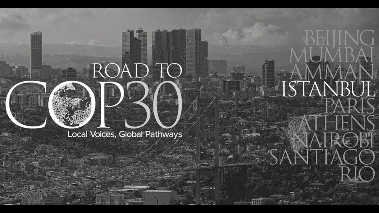 International Politics of Climate Change: Istanbul on the Road to COP30
