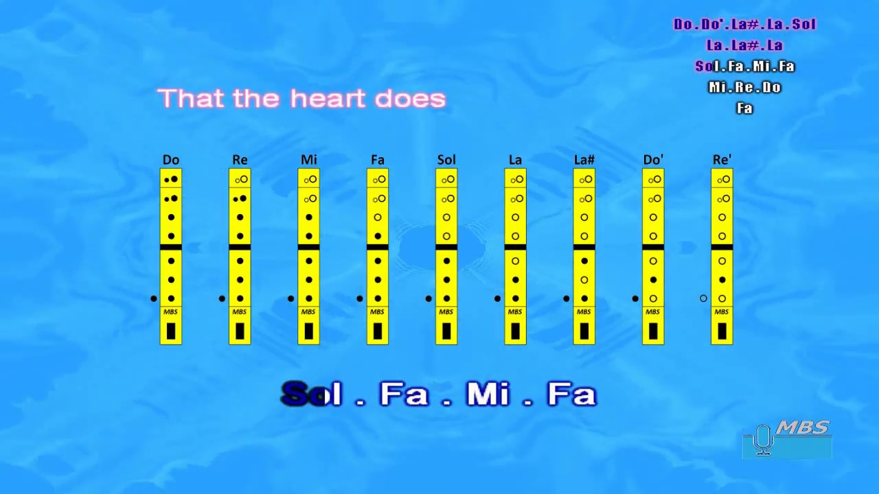 Titanic - My Heart Will Go On Flauta dulce con notas tipo karaoke
