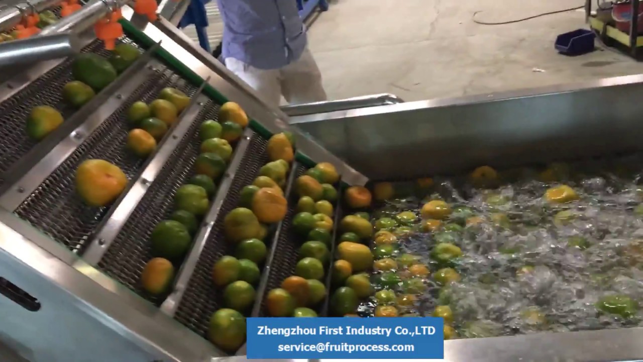 fruit washing drying machine， washing drying fruit