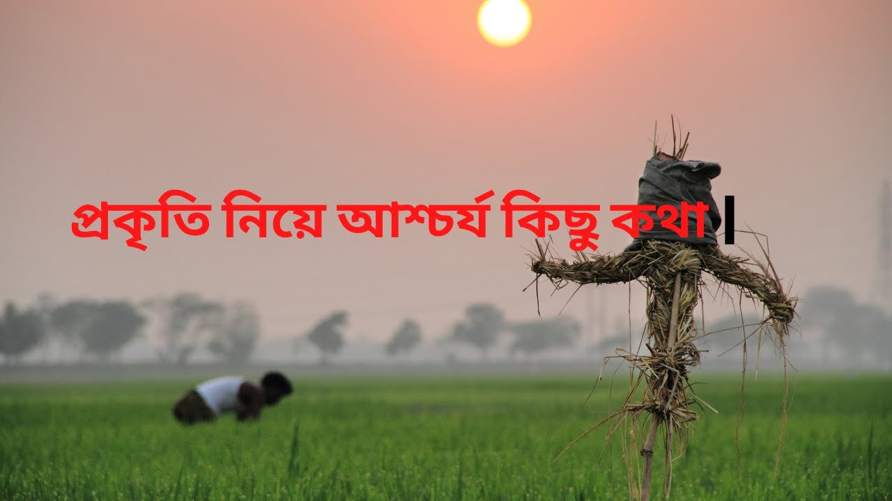 প্রকৃতি নিয়ে আশ্চর্য কিছু কথা।  মনকে প্রশান্তি করে !!