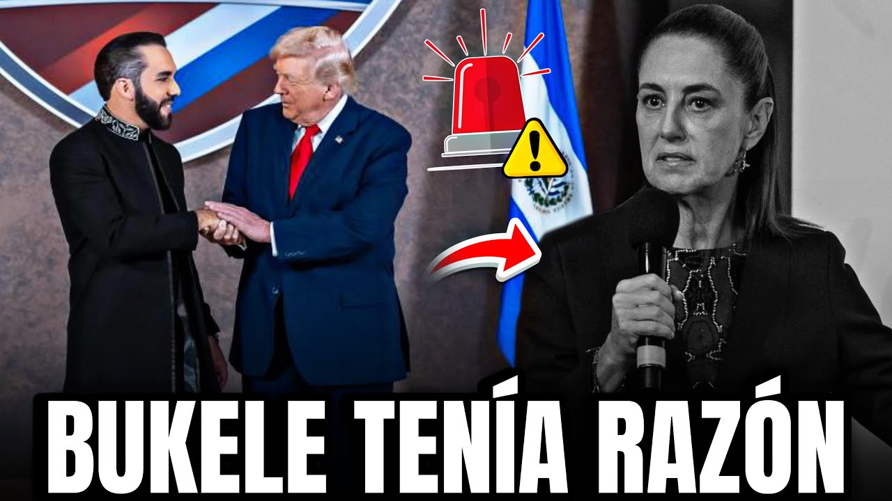 TRUMP LE DA LA RAZÓN A BUKELE SOBRE SHEINBAUM🤯 