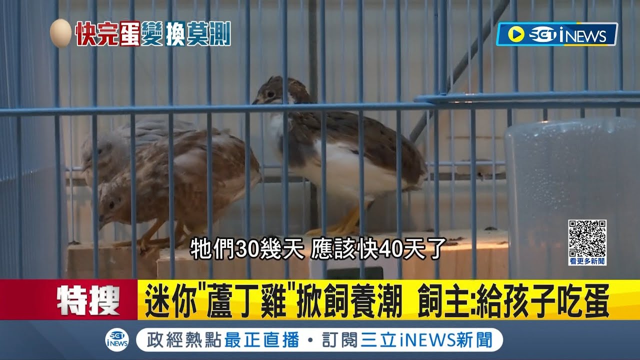 自給自足? 迷你