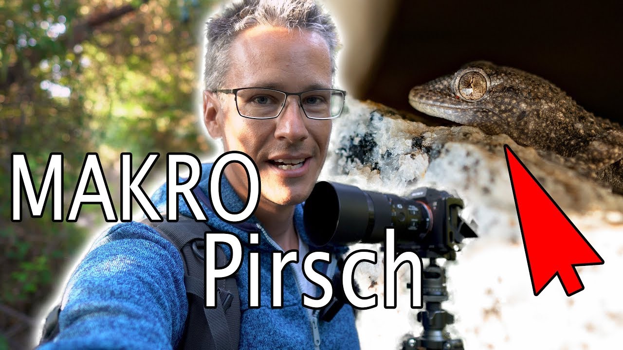 Foto-Praxis: Mit dem Sony 90mm Makro Geckos 🐸u. Eidechsen erfolgreich fotografieren!