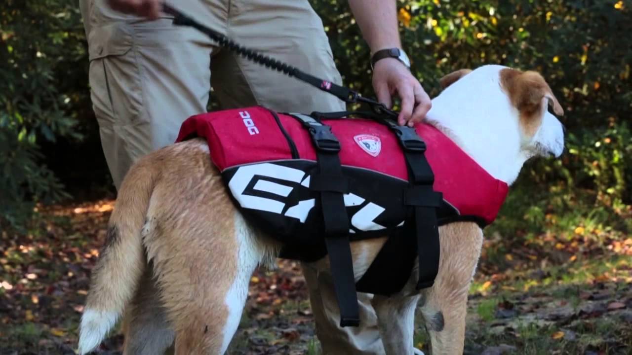 Ezydog DFD Dog Life Jacket