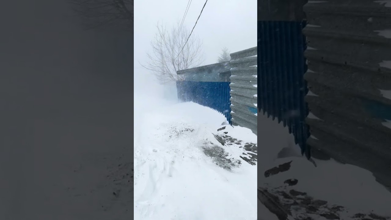 Прогулялись в снегопад по Владивостоку 10.01.26 