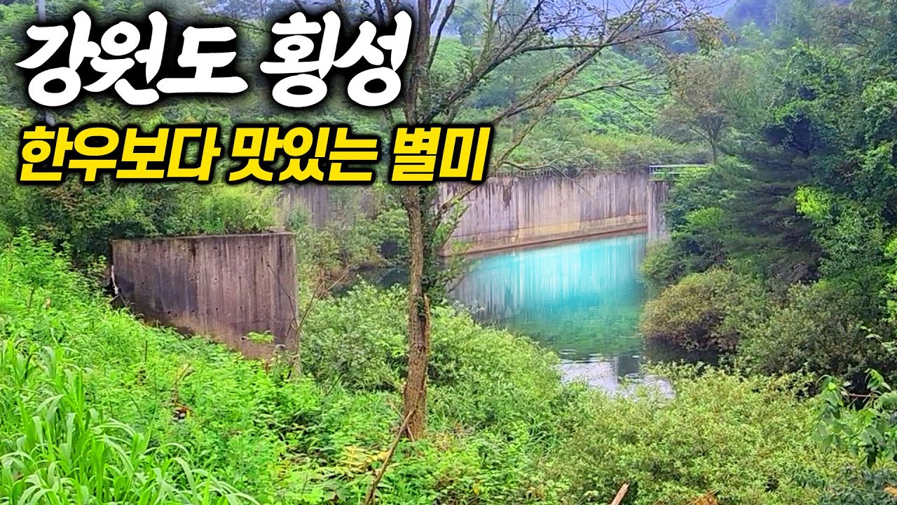 강원도 산속 저수지에 많이 사는데 이 맛을 왜 몰랐을까? 차박낚시