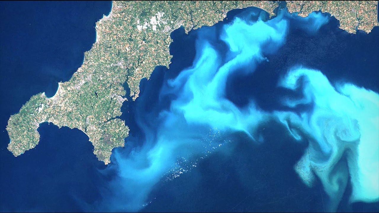 Healthy Oceans: Solutions to Human Impacts | California Academy of Sciences