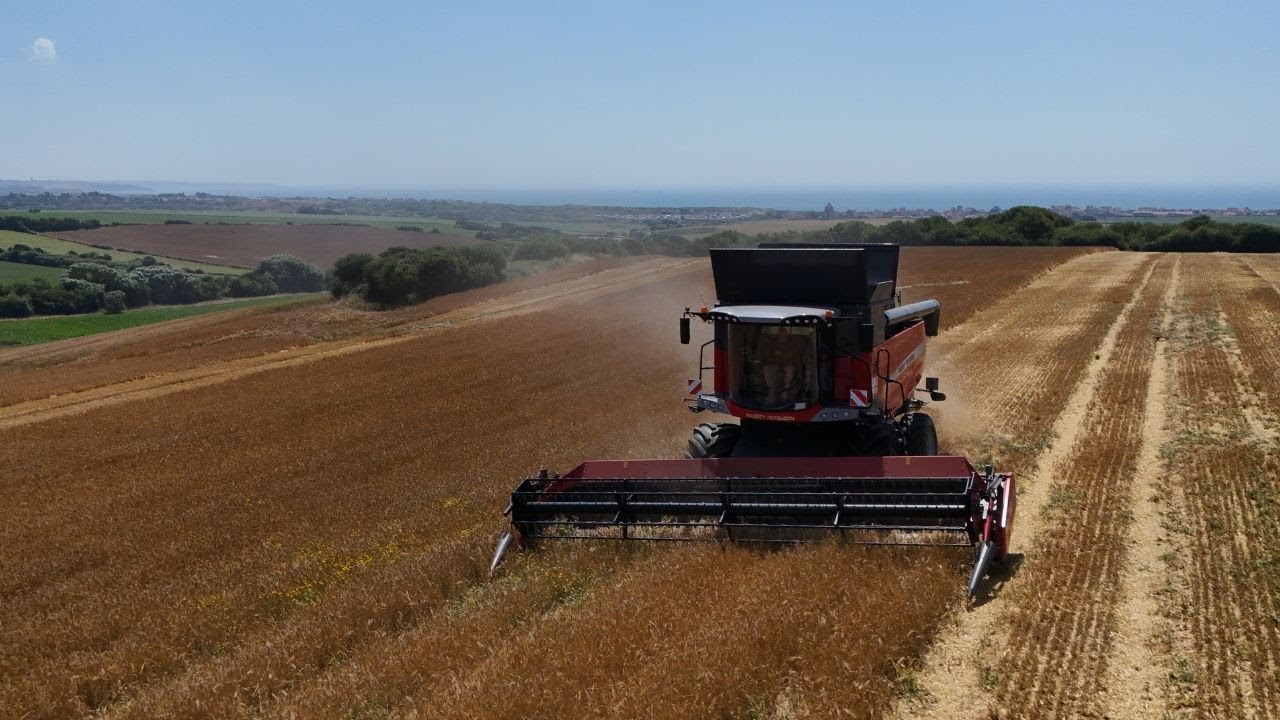 🌾TOP DEPART DES MOISSON 2025 UN 30 JUIN 😮💨 -  3 CHANTIERS 🚜 -  VUE SUR MER 😍
