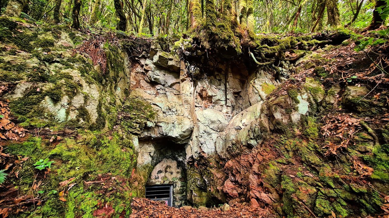 La Magia del Monte Aguirre, Parque Rural de Anaga en 4K
