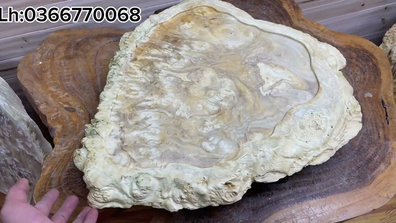 Mỹ nghệ nu nghiến |13/1 giới thiệu siêu phẩm phú quý gỗ nu nghiến vip