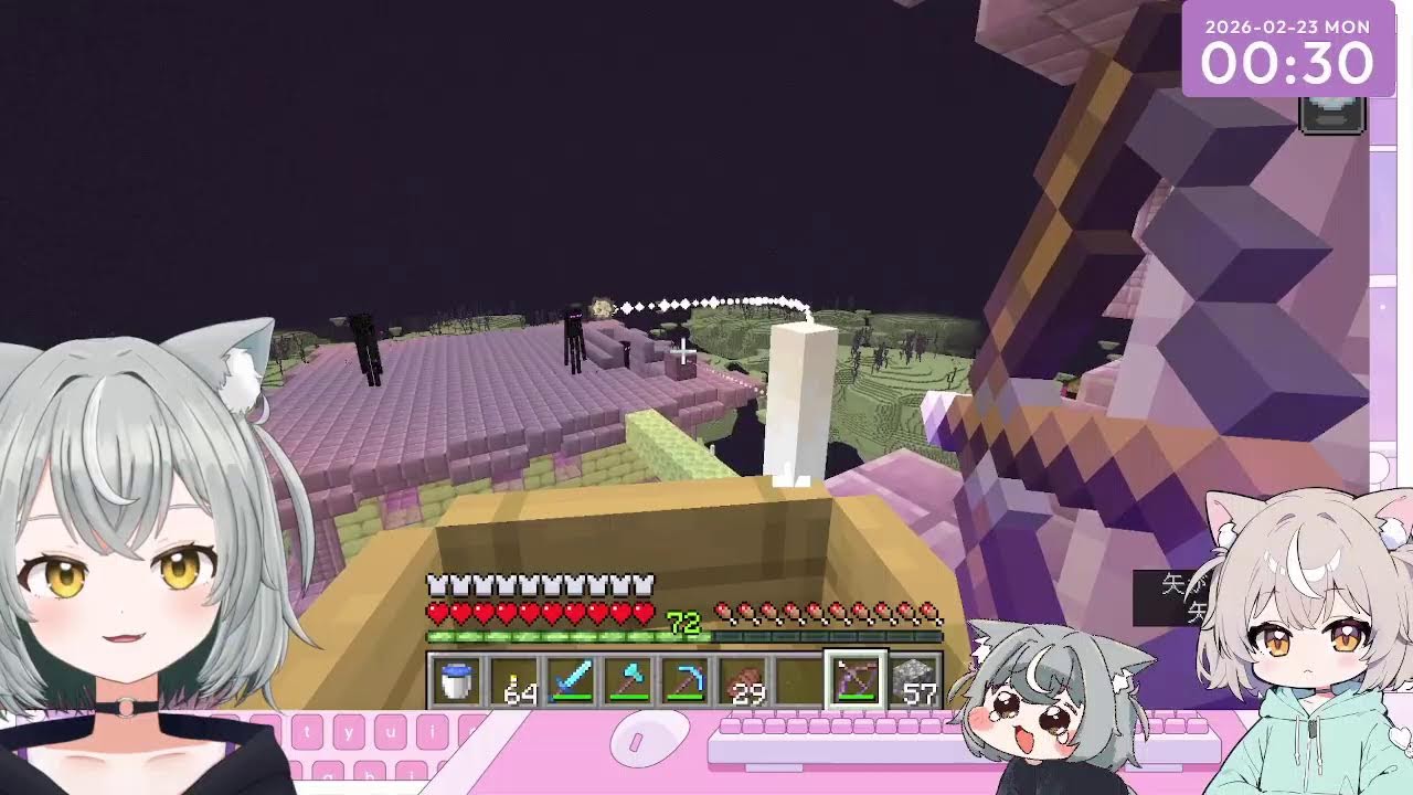 【雑談中心】ほぼ完全初見！まったりマイクラやってく！【コメント下さい】