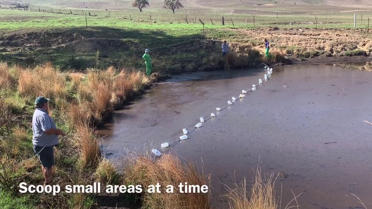 Making And Using A Drag Net To Remove Floating Organic Matter After Bushfire