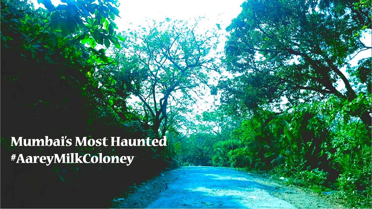 Aarey Milk Colony | Mumbai's most haunted places | India's most haunted | World's most haunted