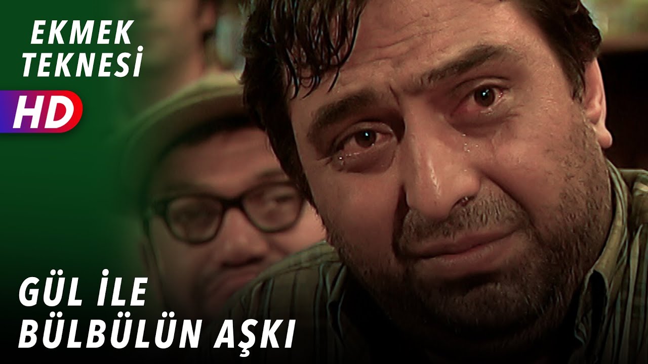 GÜL İLE BÜLBÜLÜN AŞKI - EKMEK TEKNESİ 31.BÖLÜM