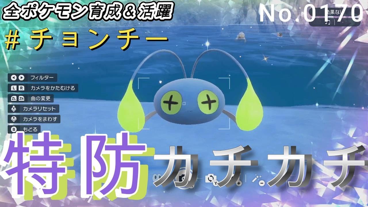 （全ポケ活躍、チョンチー育成論）特殊受けアンコウ！！アクアリングで鬼耐久する！