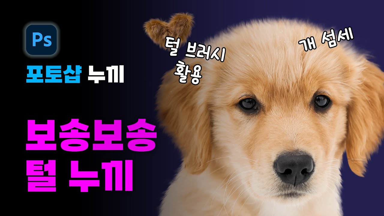 자동 털 누끼 아무리 해도 지저분할 때, 무조건 해결하는 방법