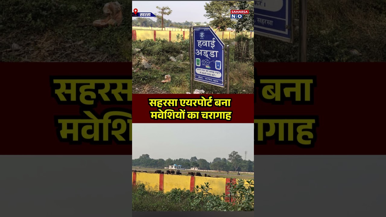 सहरसा एयरपोर्ट बना मवेशियों का चरागाह Saharsa Now