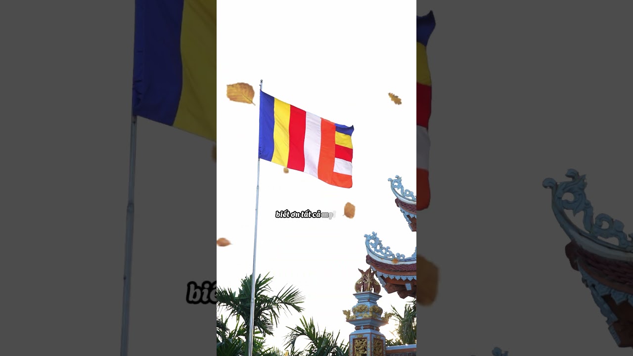 Cuộc Sống Bình An │ Phật Sự Thủ Đô 