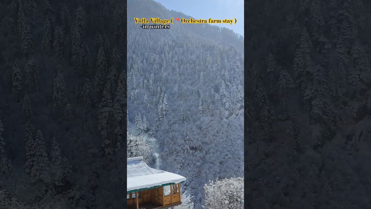📍- Yulla village in winters @Yullakandaexplorer 🤩😶&zwj;🌫️( base to Yulla Kanda trek ) #winter #mountains