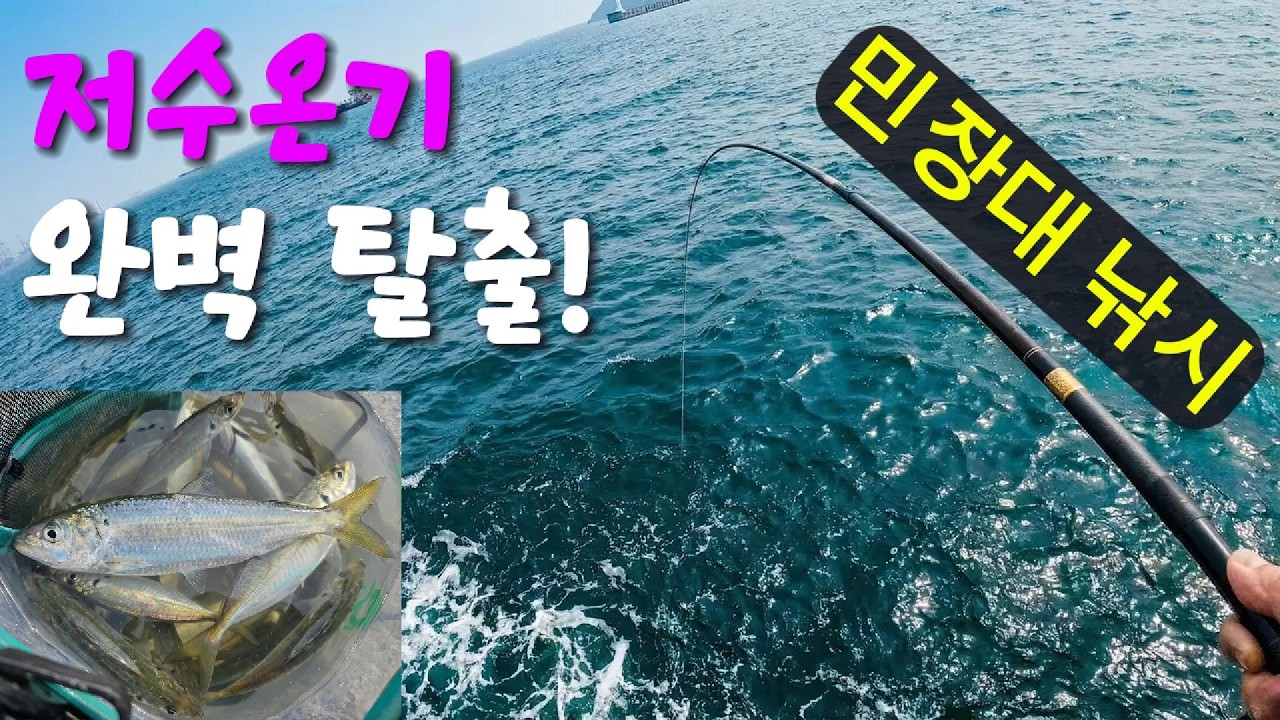 [초보 필수] 원투 낚시 절대 가지 마세요! 저수온기 대박은 민장대! (밑밥의 기적)