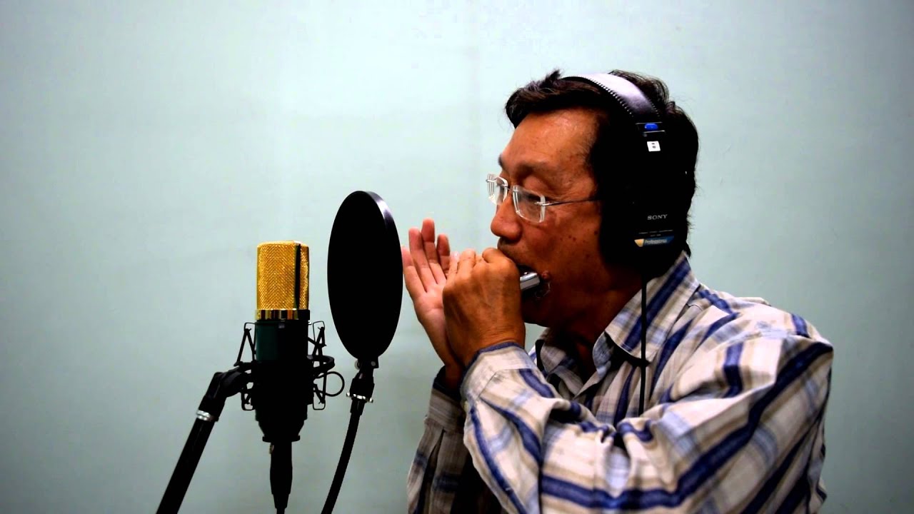 Take Me Home Country Roads - Harmonica - Lee Yao Sien
