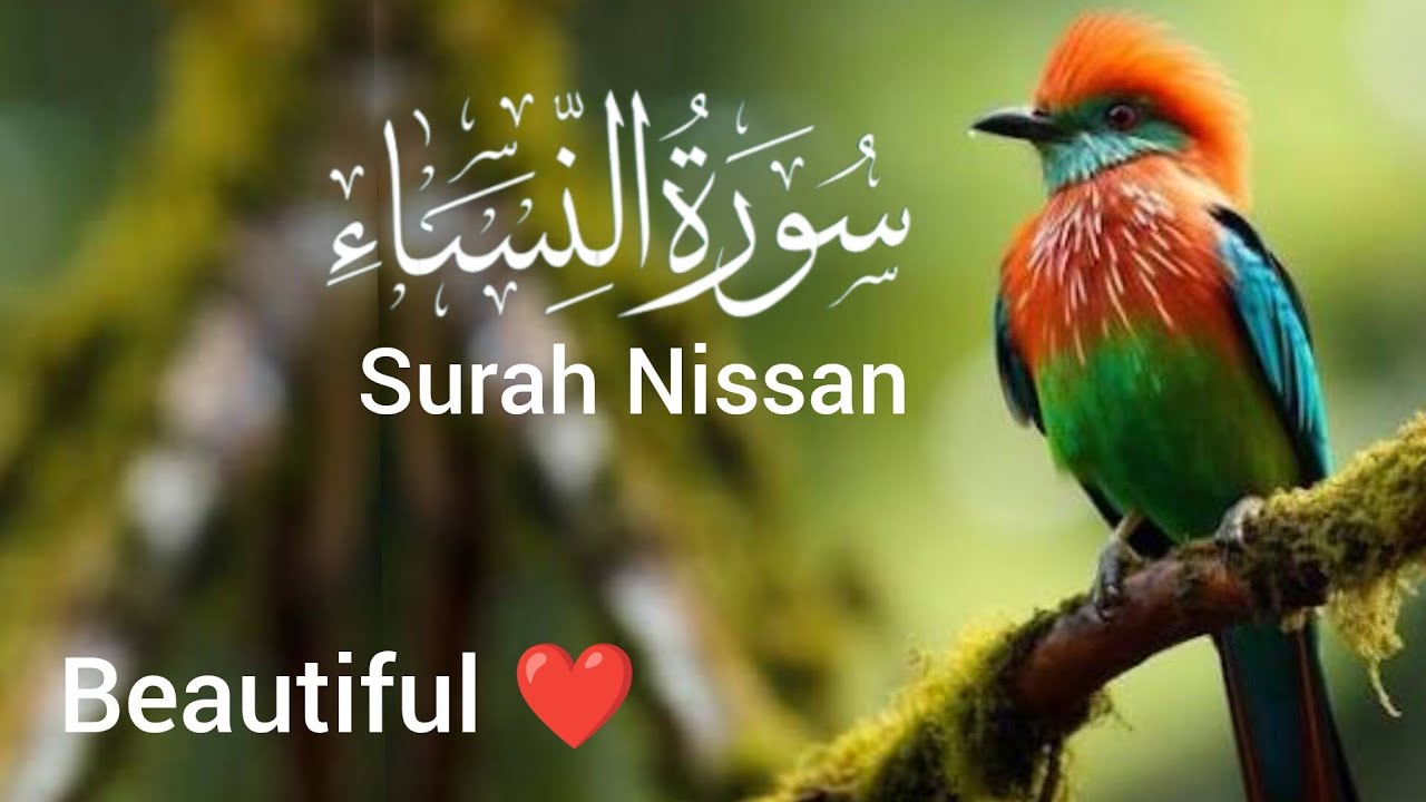 Surah Nisaa ( سورۃ النساء ) quran Kareem tilawat Hafiz Javed beautiful quran 