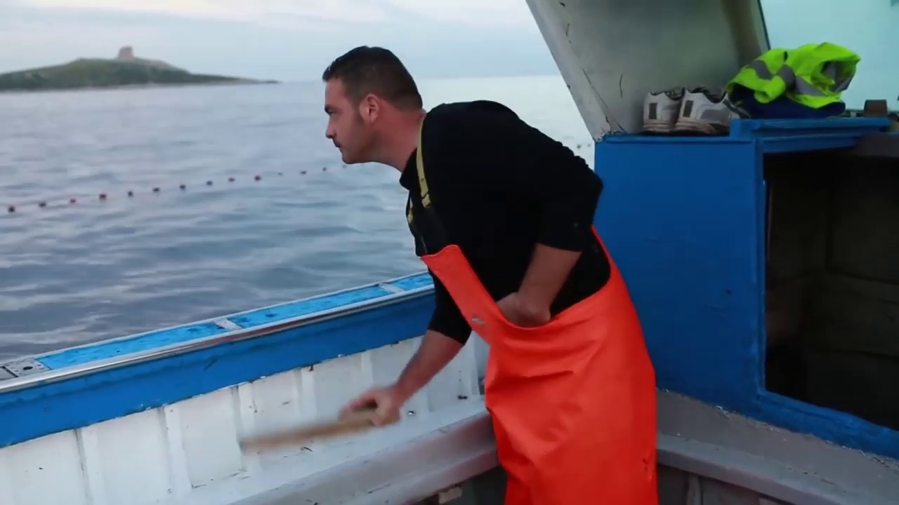 Pesca in mare con reti da posta sulle coste palermitane