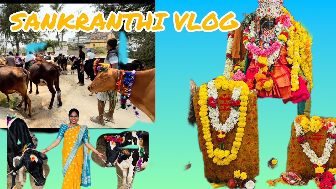 Sankranthi vlog /village/festival/tradition