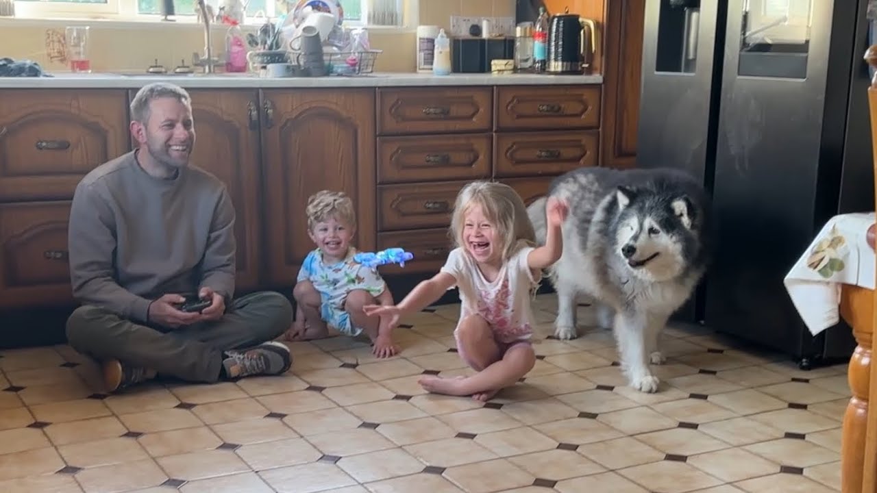 My Dog Bites My Drone! I’m Not Sure He Likes It