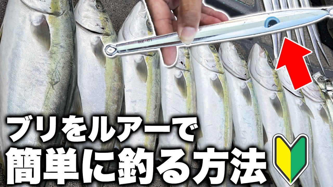 【青物・ジギングシーズン開幕】ブリって誰でも簡単に釣れます。。タチパターンで入れ食い連発、今この場所で釣れています。