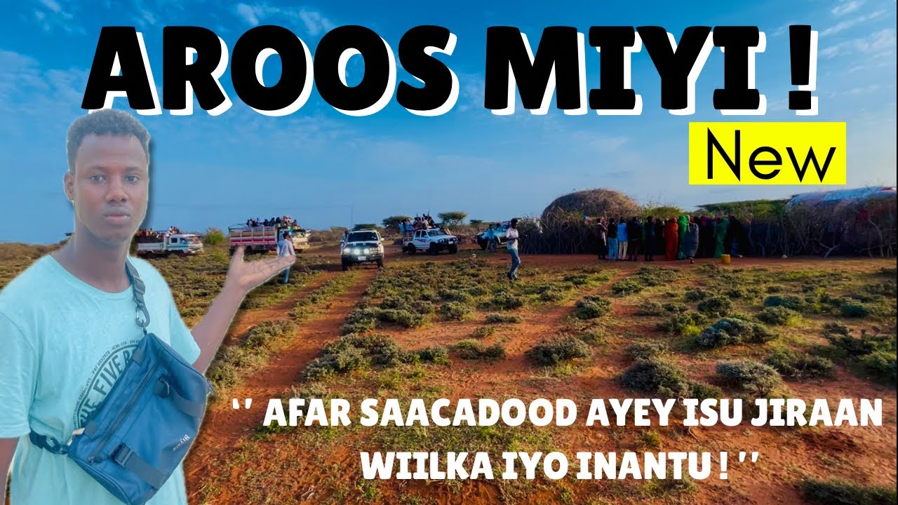 AROOS MIYI || AROOS KII UGU MASAAFADA DHEERAA EE HAWD KA DHACA!!