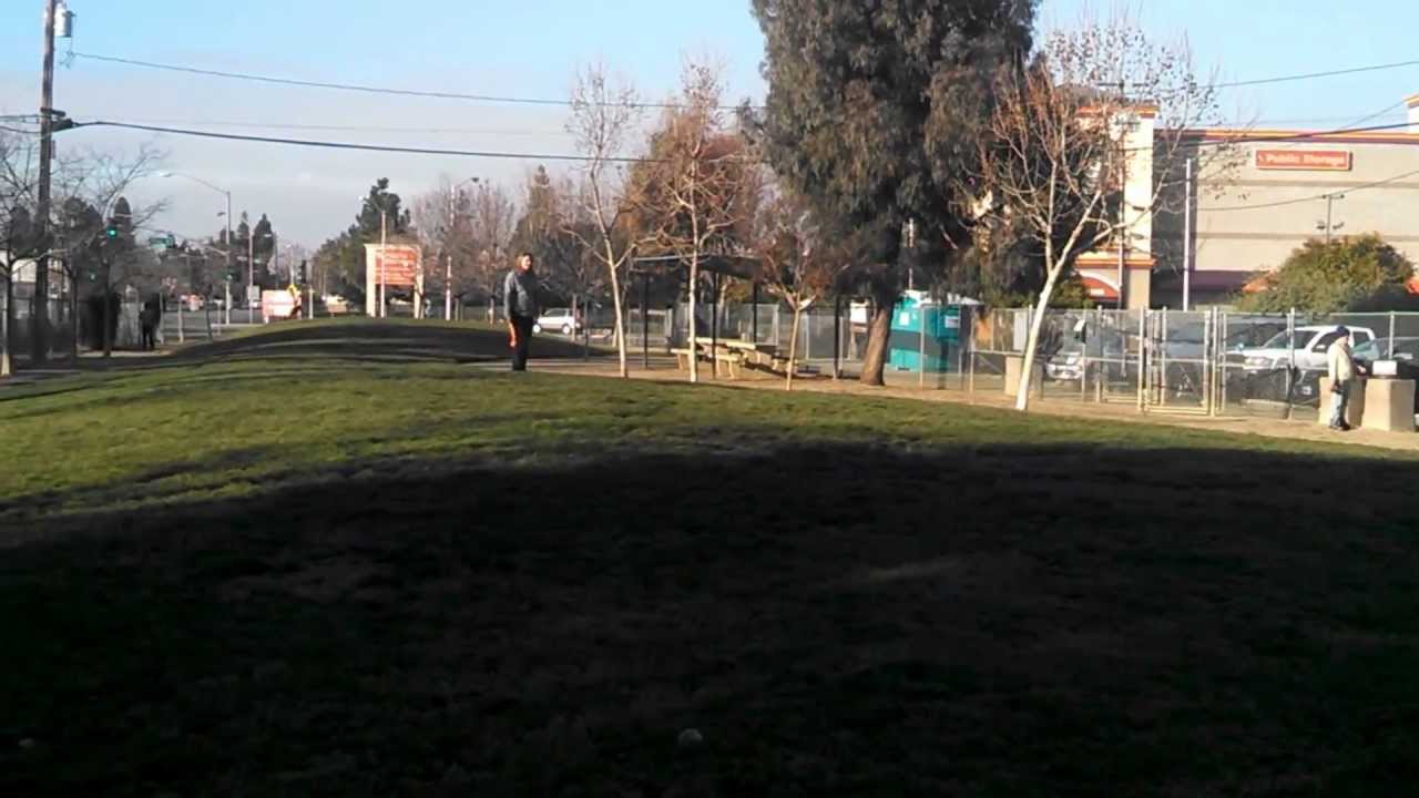 Santa Clara Reed St Dog Park (Big Dog Side)