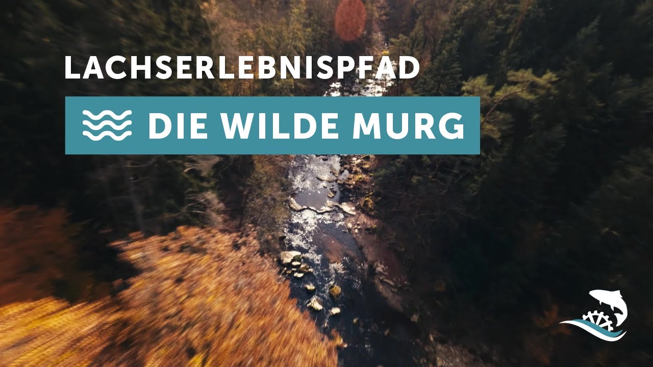 Lachs Erlebnis Pfad im Murgtal - die wilde Murg erzählt