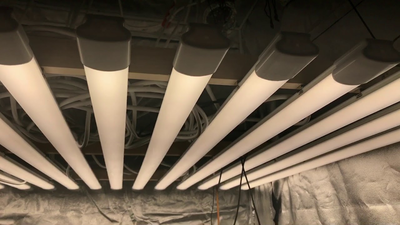 Vividgro led
