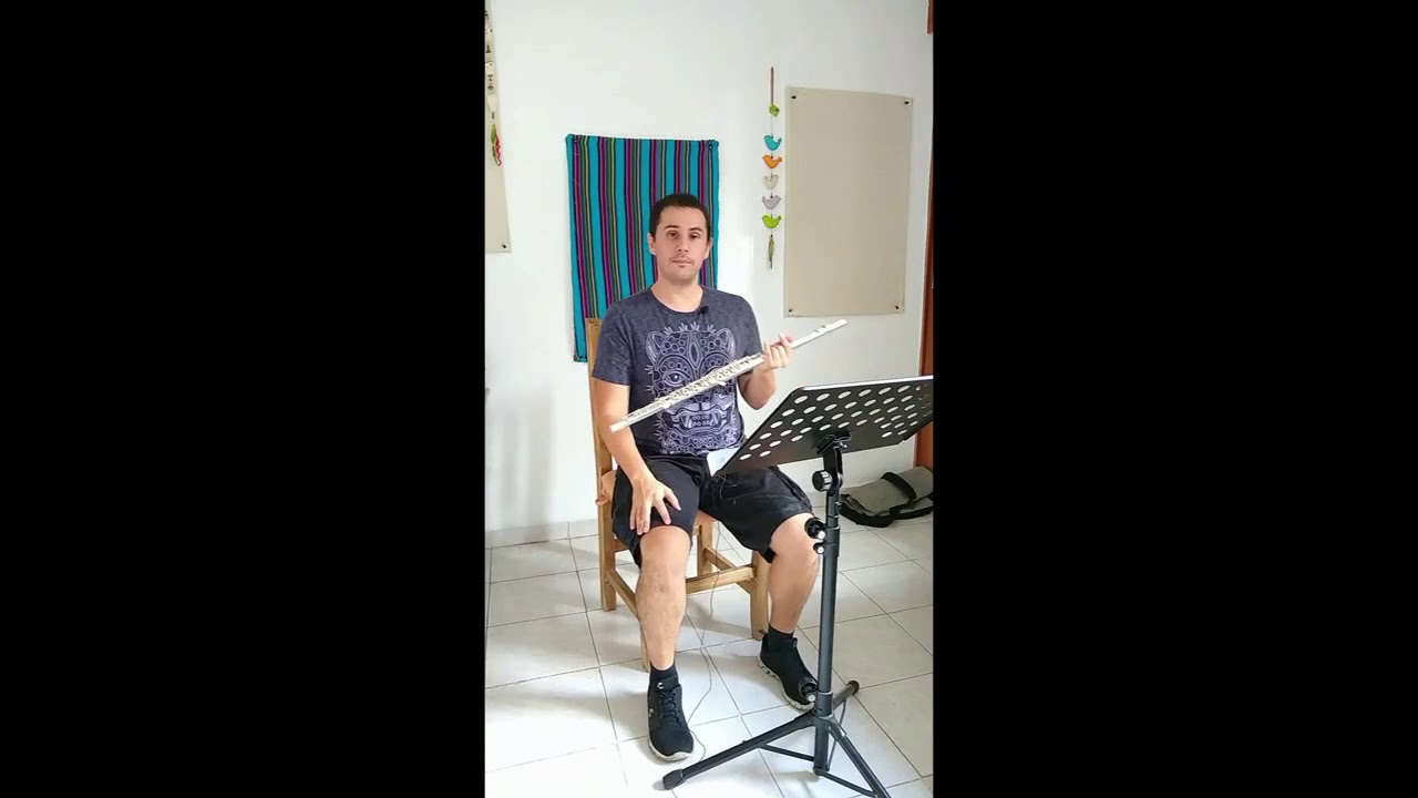TÉCNICA ALEXANDER: Postura básica para tocar flauta traversa sentado by Felipe Bojórquez