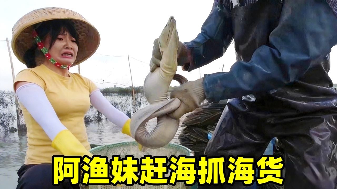 阿渔妹赶海合集！这种级别海货太可怕，渔爸说很值钱但是没人要【阿渔妹】