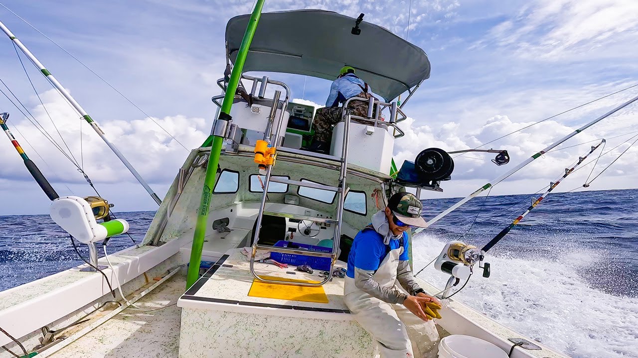 We Had to Give all the Fish Away! Fishing in Hawaii!