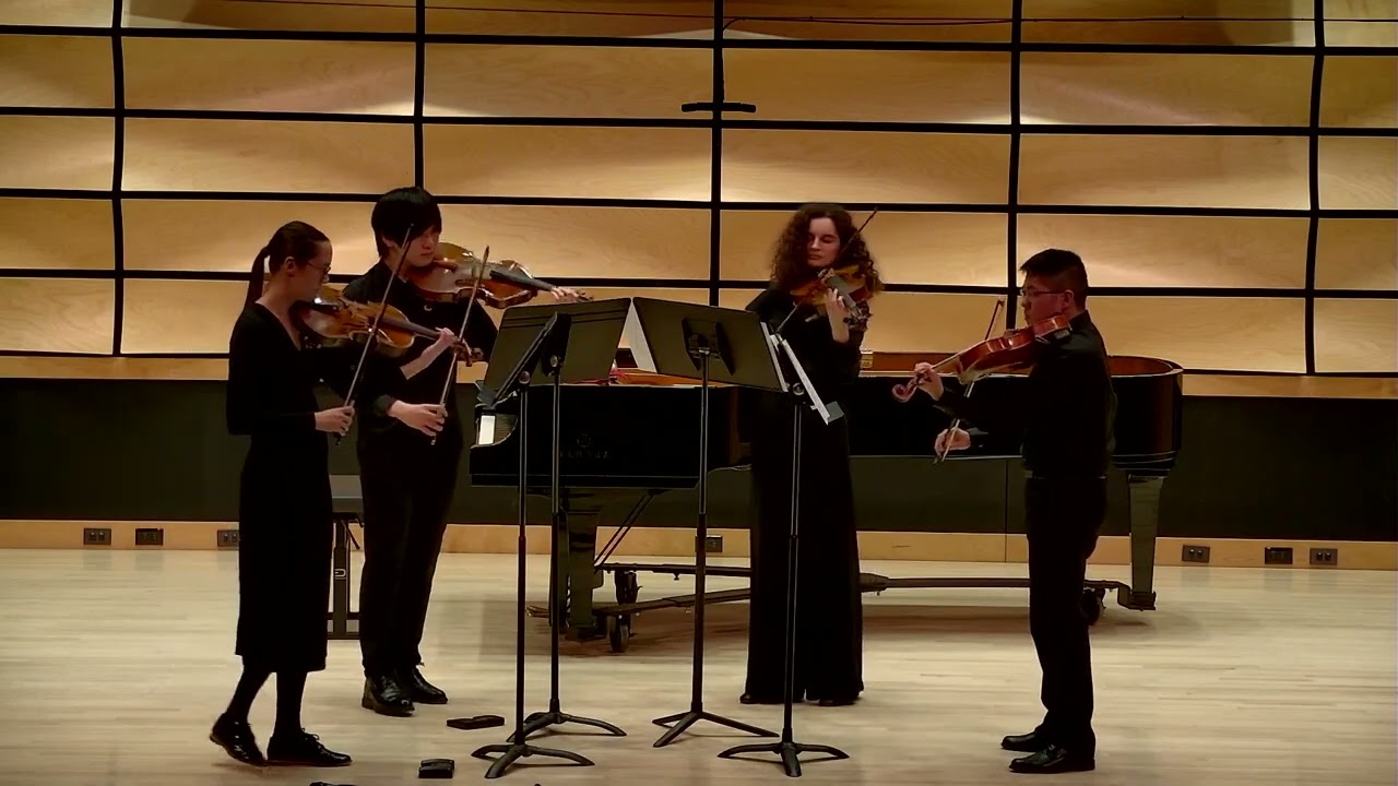 Didsbury - viola quartet