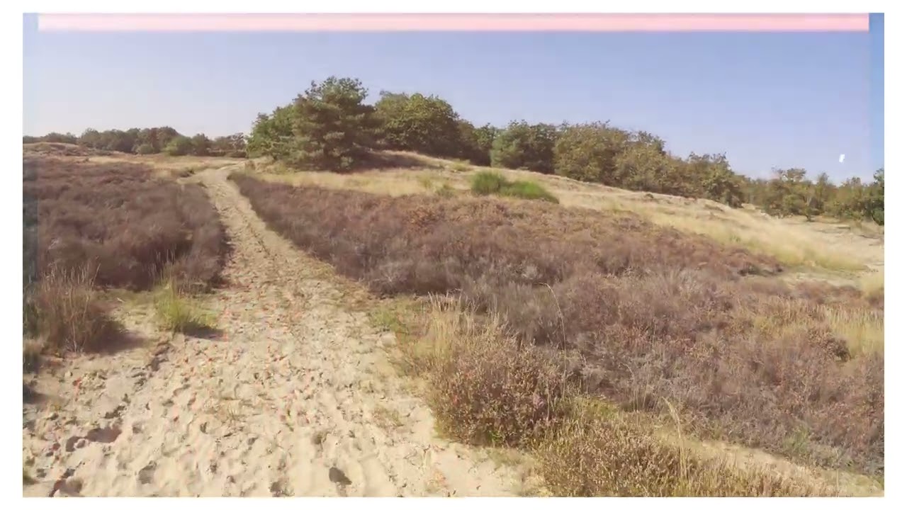 Adembenemende Wandeling door de Loonse en Drunense Duinen | Ontdek het Unieke Zandlandschap