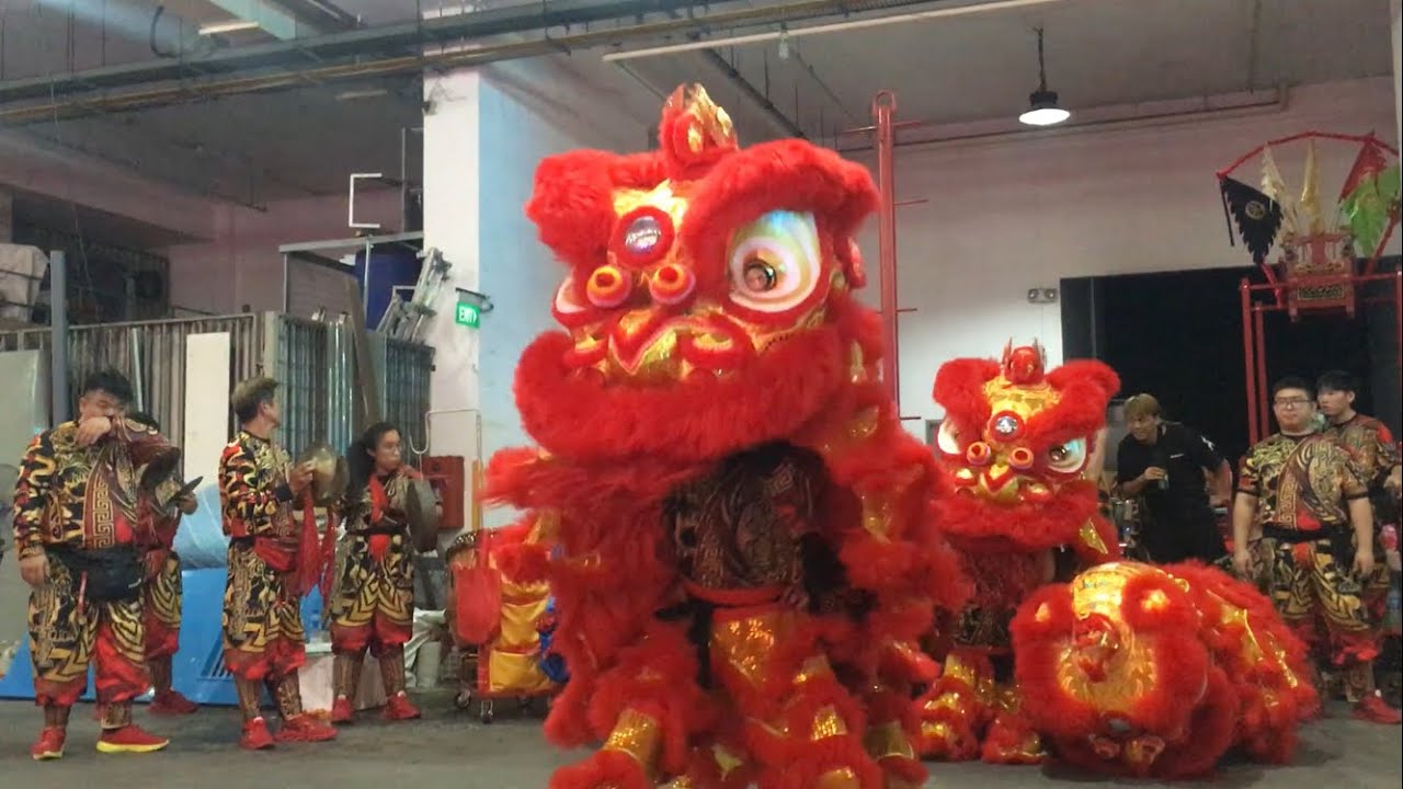 關善壇龍獅學院 Kuan San Tang Lion Dance Cai Qing Performance at Sheng Lian Gong 4 Aug 2023
