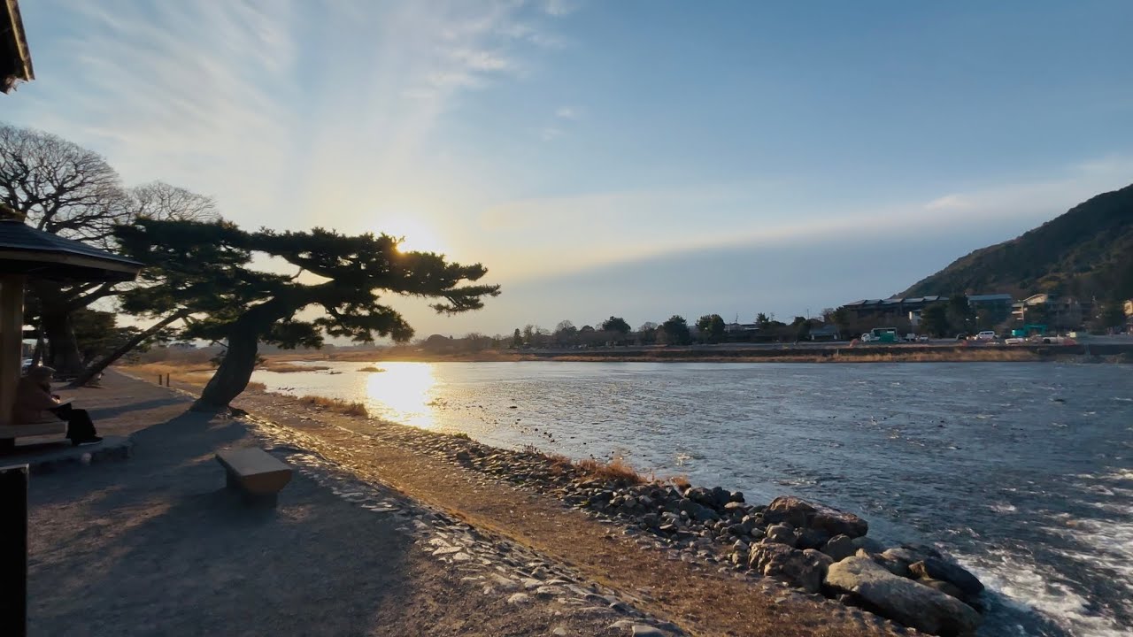 2026年2月20日(金) 京都嵐山　冬の朝🌅 Arashiyama, Kyoto on a winter morning