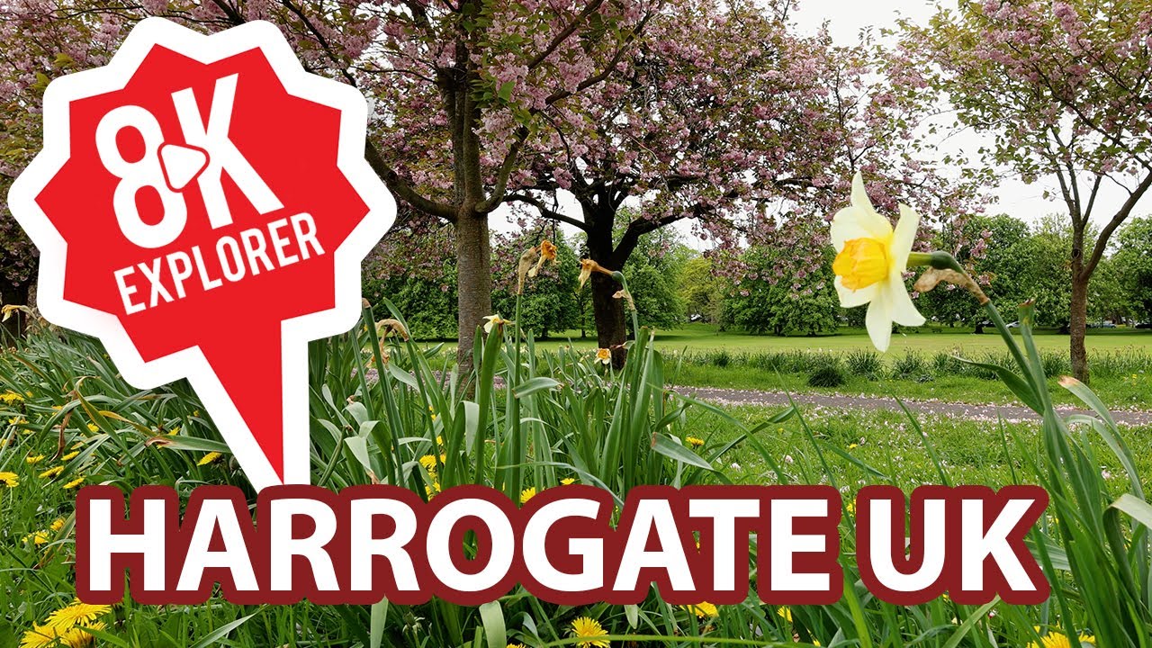 8K Explorer, Relaxing footage of Harrogate (The Stray) is a town in North Yorkshire, England