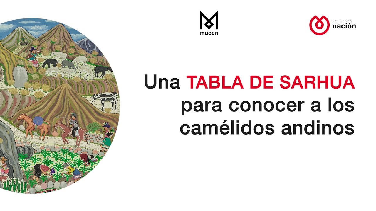 Una Tabla de Sarhua para conocer a los camélidos andinos| Nación de saberes ancestrales | MUCEN