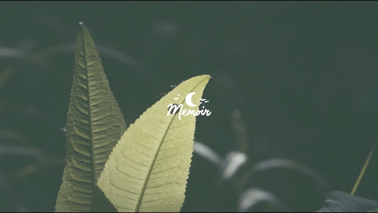 Foxwood - Alone 🌙