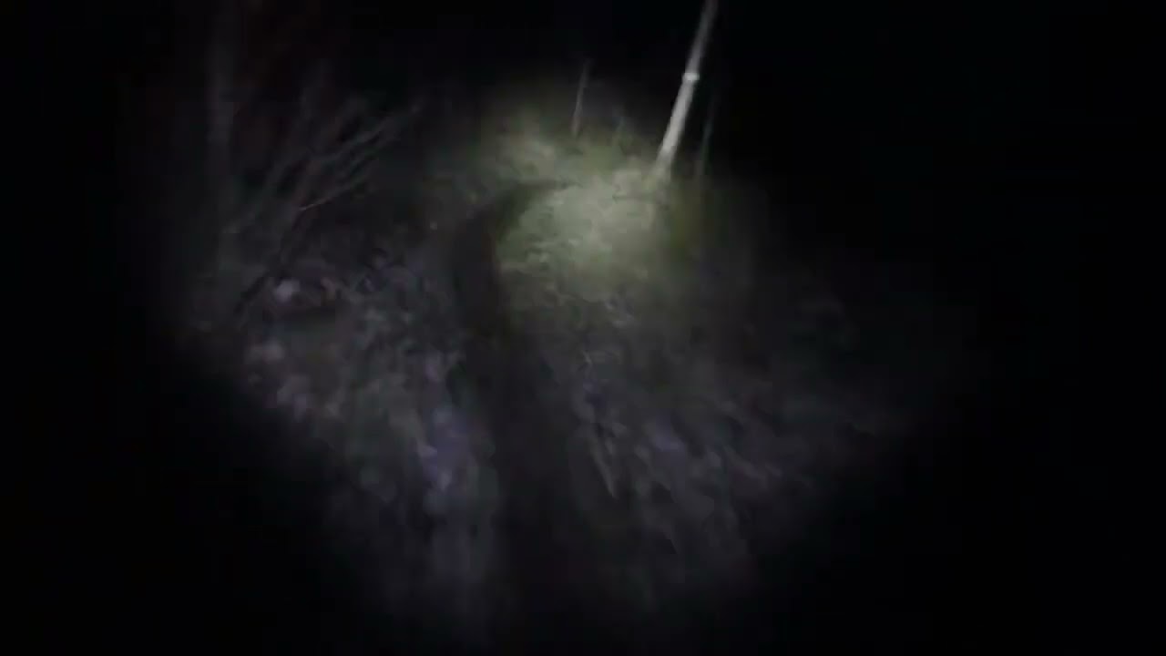 [FREE] Horror Trap Beat - 