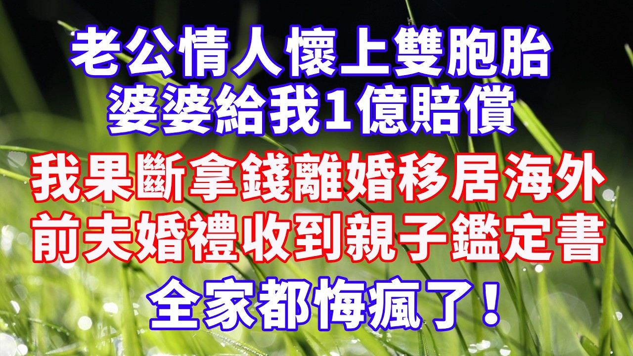老公情人懷上雙胞胎，婆婆給我1億賠償，我果斷拿錢離婚移居海外，前夫結婚當天，收到我寄的雙胞胎親子鑑定書，全家都悔瘋了 #情感故事 #爽文 #婆媳关系 #深夜淺讀