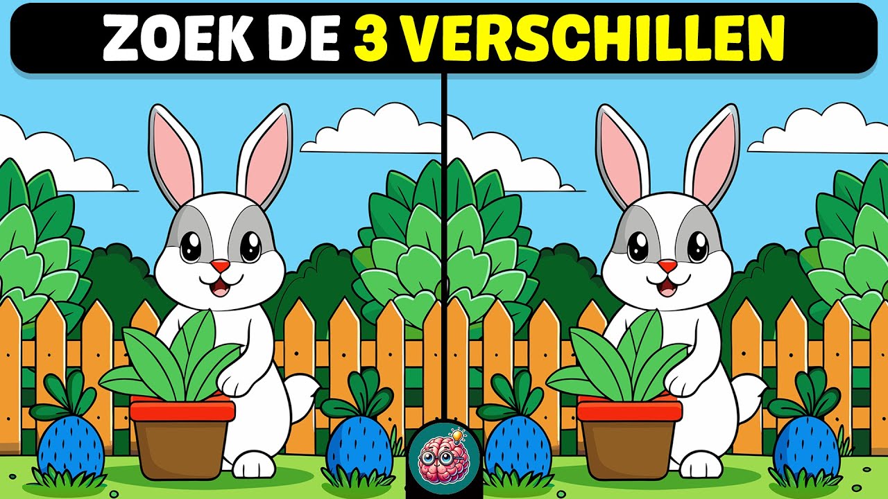 🧠🧩Zoek De 3 Verschillen Snel Met Breintraining! 🧩🧠 | Brein Trucjes