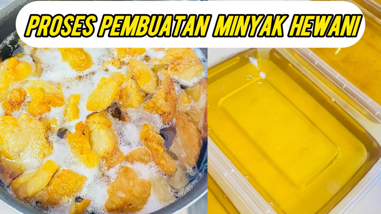 MINYAK ALAMI DARI LEMAK KAMBING cocok dan enak untuk menumis bumbu masakan