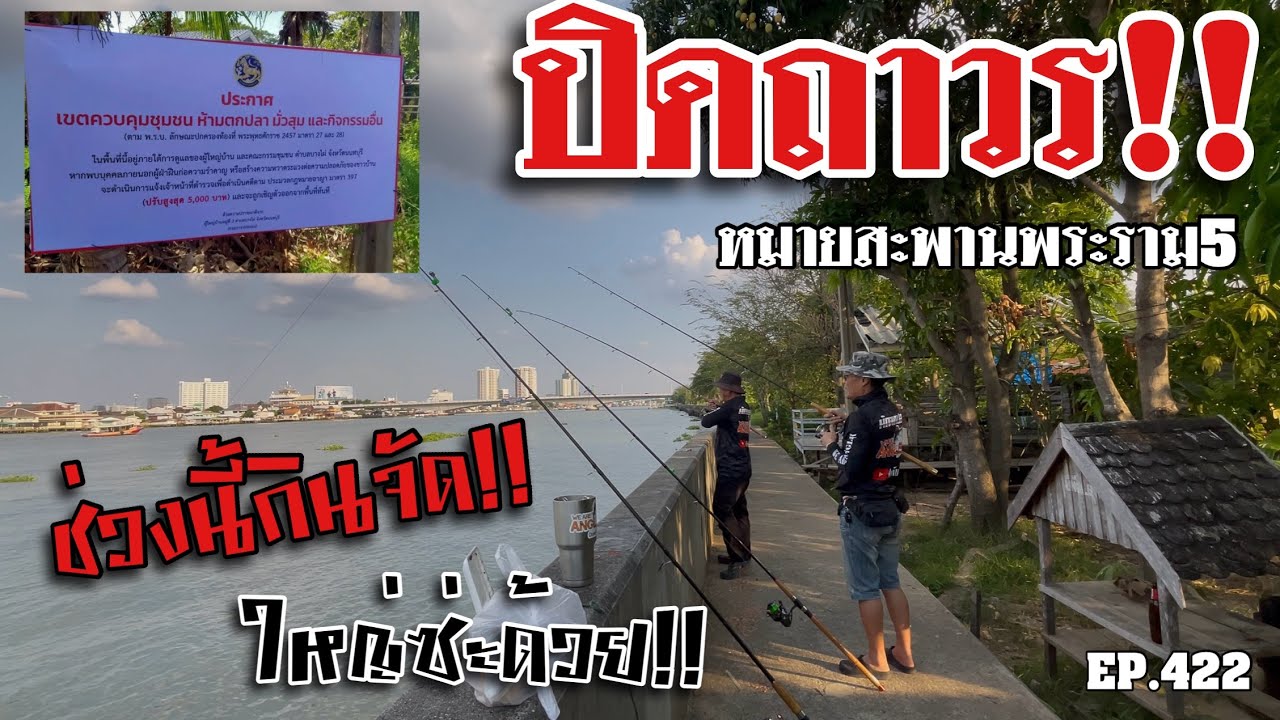 🎣🐠We are Angler EP:422 “ปิดถาวร หมายในตำนานสะพานพระราม5 ช่วงนี้กินจัด ปลาใหญ่เยอะ!”” |ตกปลาแม่น้ำ